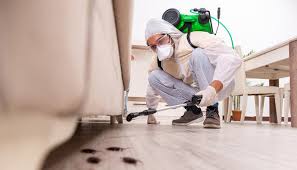 Best Fumigation Services  in Mcconnellstown, PA